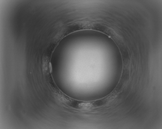 X0000075330133200609081107