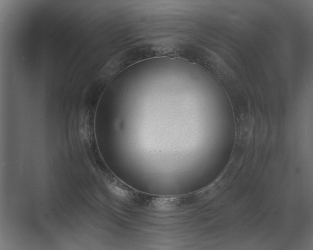 X0000075330136200609081107