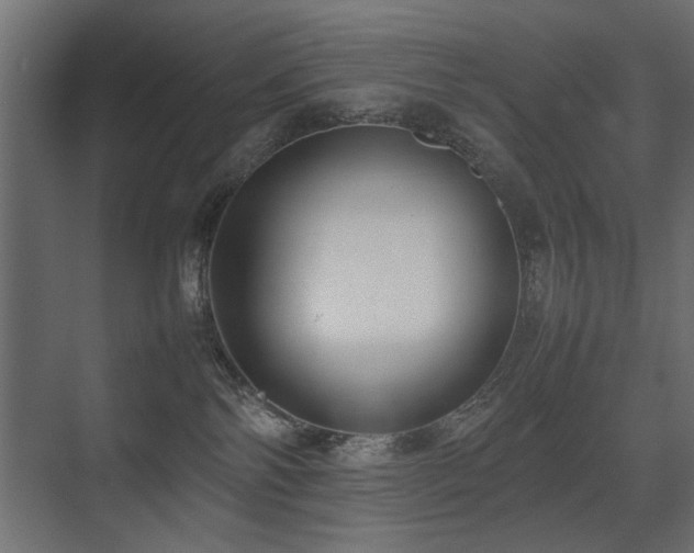 X0000075330138200609081107