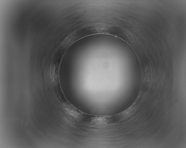 X0000075330140200609081107