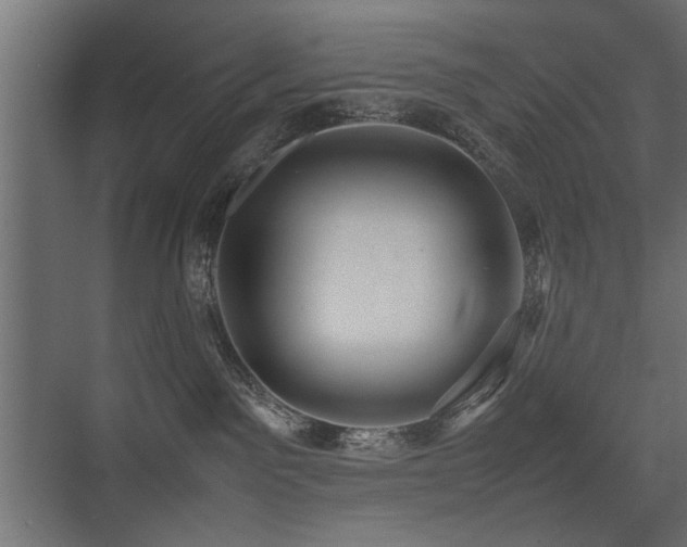 X0000075330141200609081107