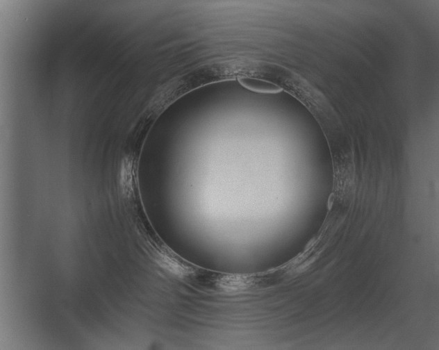 X0000075330142200609081107