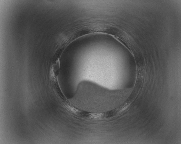 X0000075330143200609081107