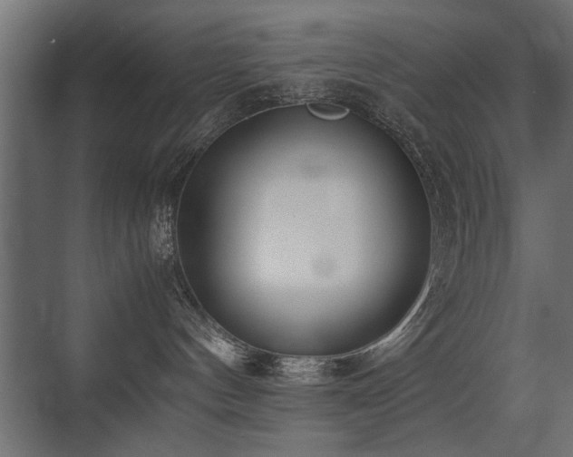 X0000075330144200609081107