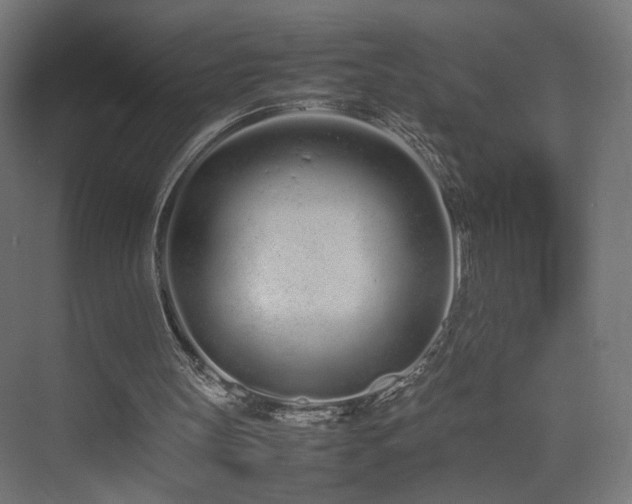 X0000075330147200609081106