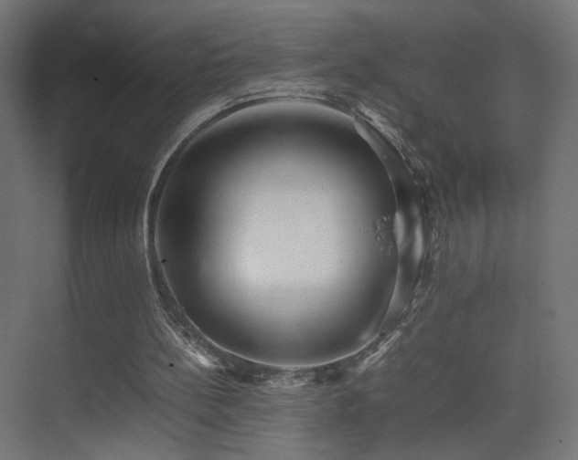 X0000075330148200609081106