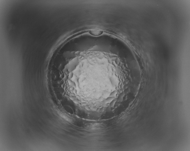 X0000075330151200609081106