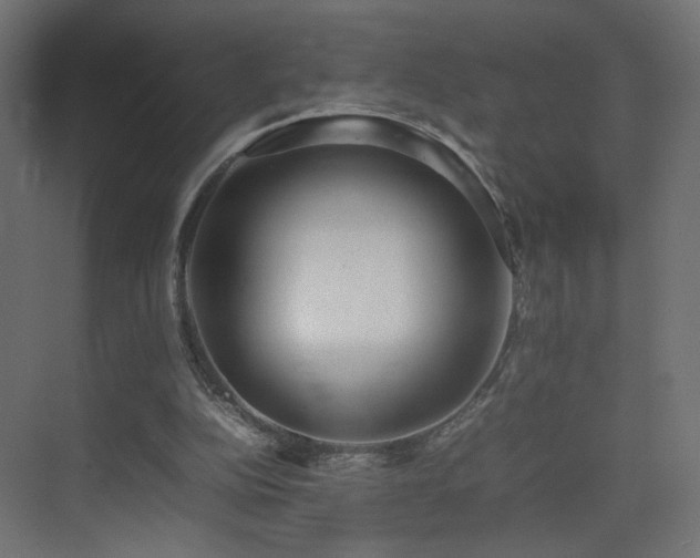 X0000075330152200609081106