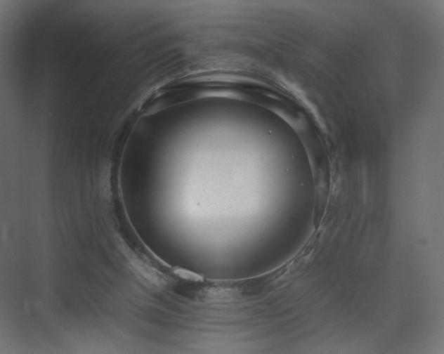 X0000075330154200609081106