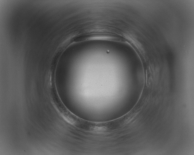 X0000075330157200609081106