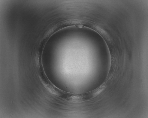 X0000075330158200609081107