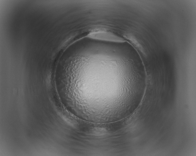X0000075330159200609081107