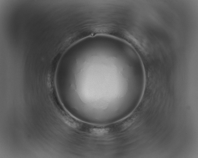 X0000075330161200609081107