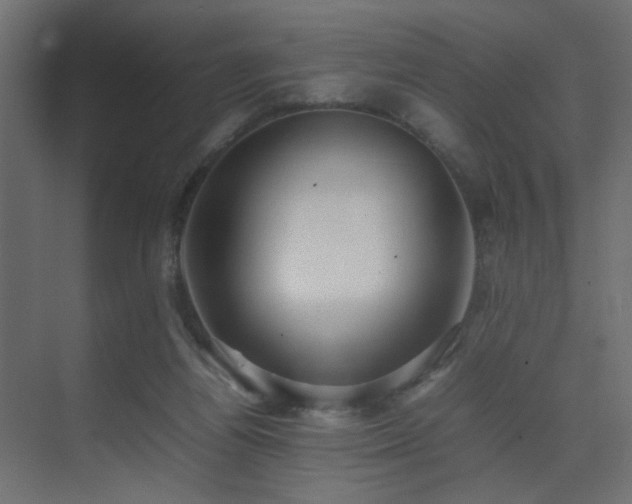 X0000075330164200609081107