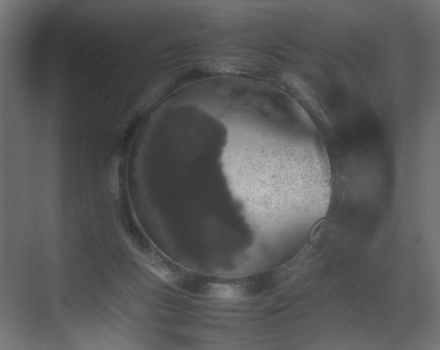 X0000075330167200609081107