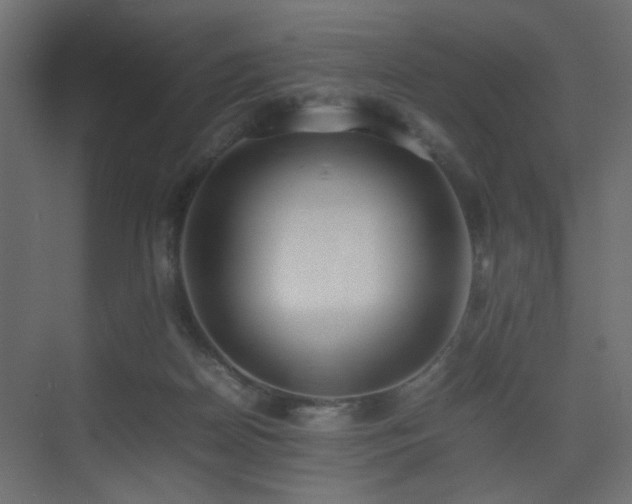 X0000075330170200609081107