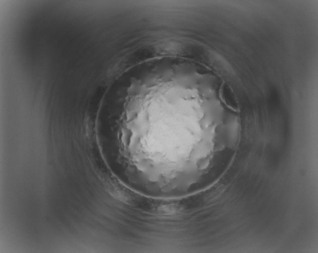 X0000075330173200609081107