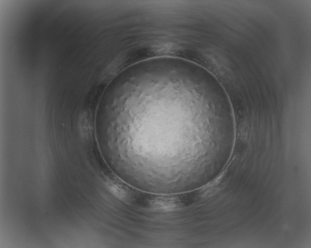 X0000075330179200609081107