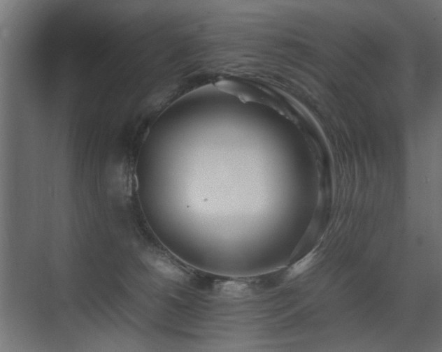 X0000075330180200609081107