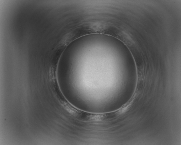 X0000075330182200609081107