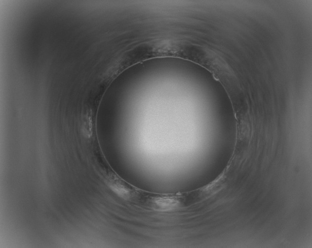 X0000075330183200609081107