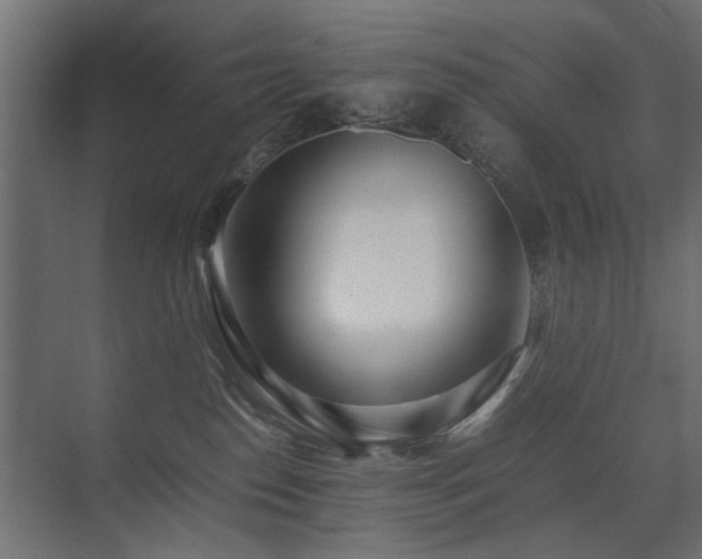 X0000075330186200609081107