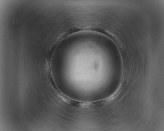 X0000075330192200609081107