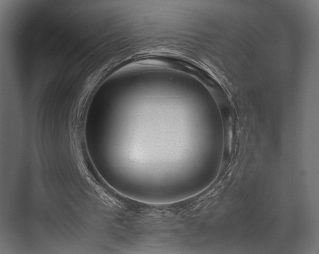 X0000075330193200609081106