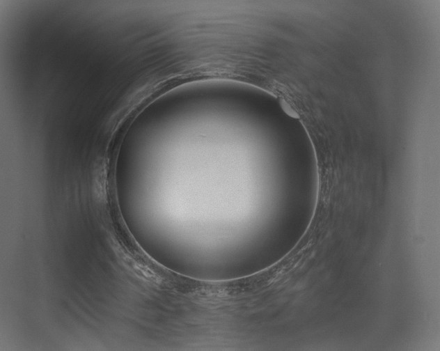 X0000075330194200609081106