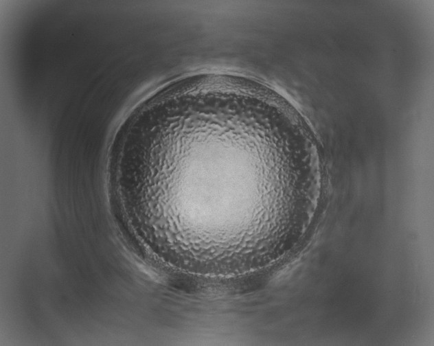 X0000075330199200609081106
