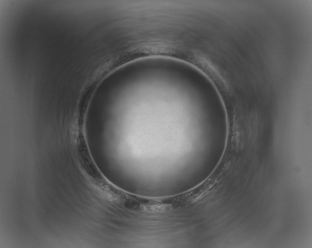 X0000075330202200609081106