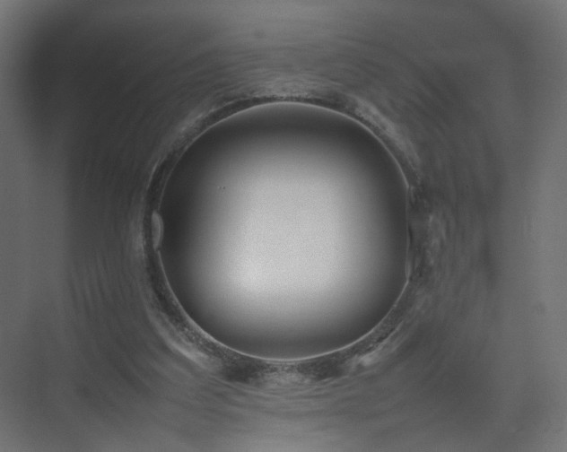 X0000075330203200609081106