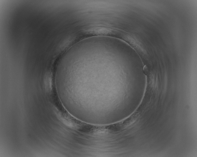 X0000075330206200609081106