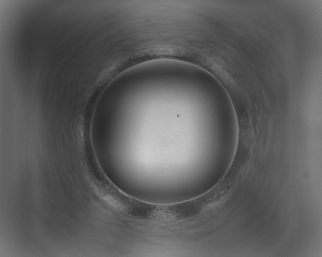 X0000075330207200609081106