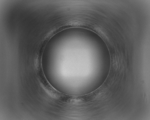 X0000075330208200609081106