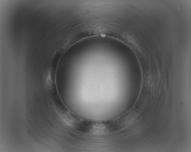 X0000075330214200609081106