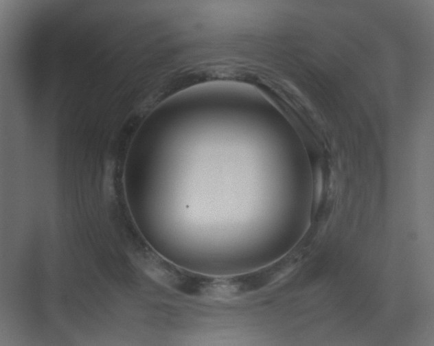X0000075330217200609081106