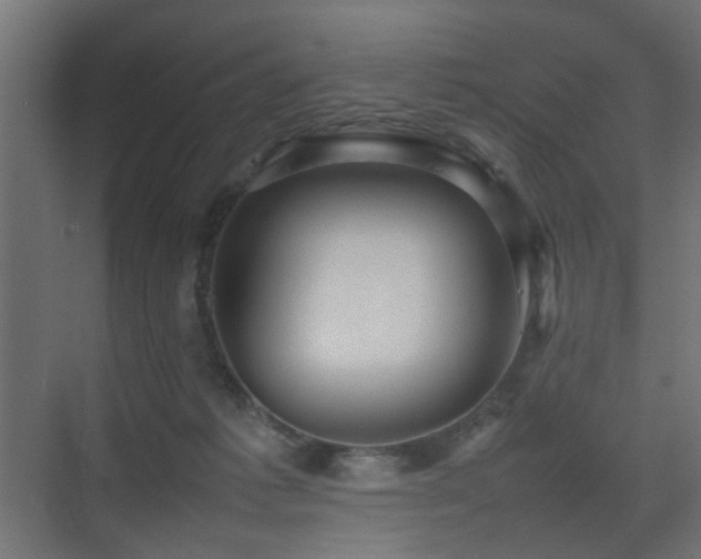 X0000075330221200609081106
