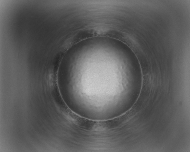 X0000075330222200609081106