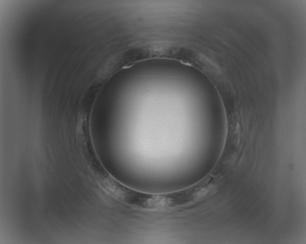 X0000075330225200609081106