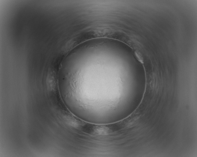 X0000075330226200609081106