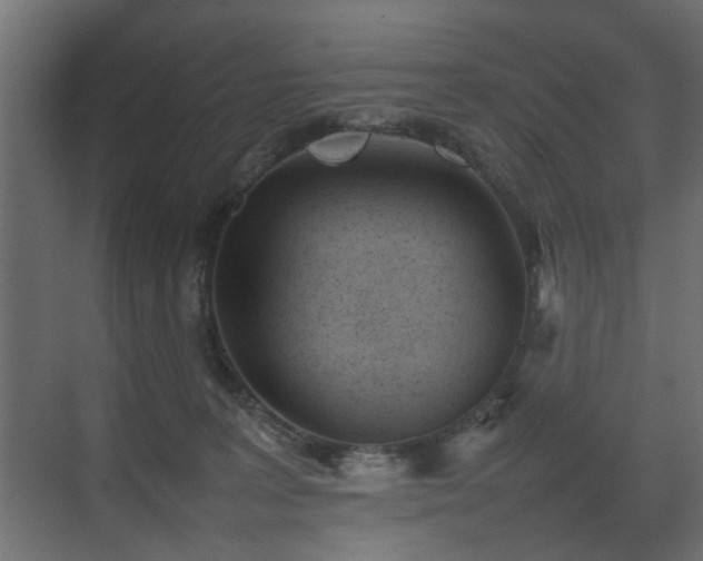 X0000075330227200609081106