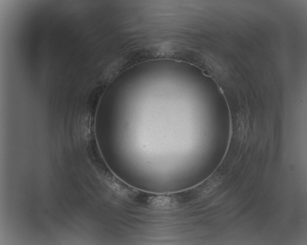 X0000075330230200609081106