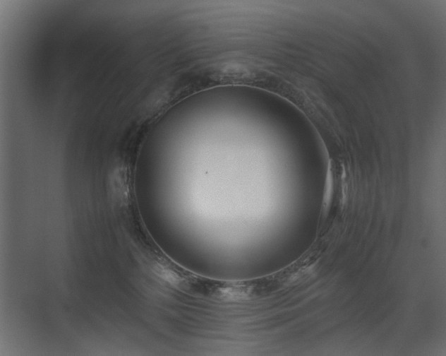 X0000075330232200609081106