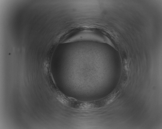 X0000075330235200609081106