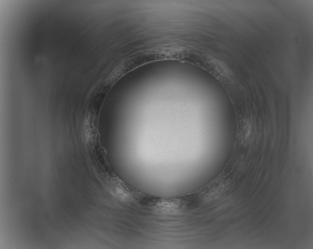 X0000075330236200609081106