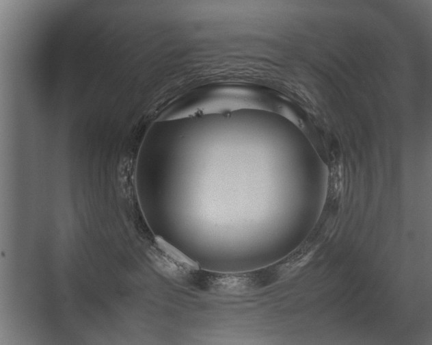 X0000075330237200609081106
