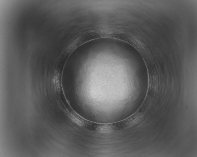X0000075330238200609081106