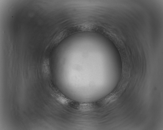 X0000075330240200609081105
