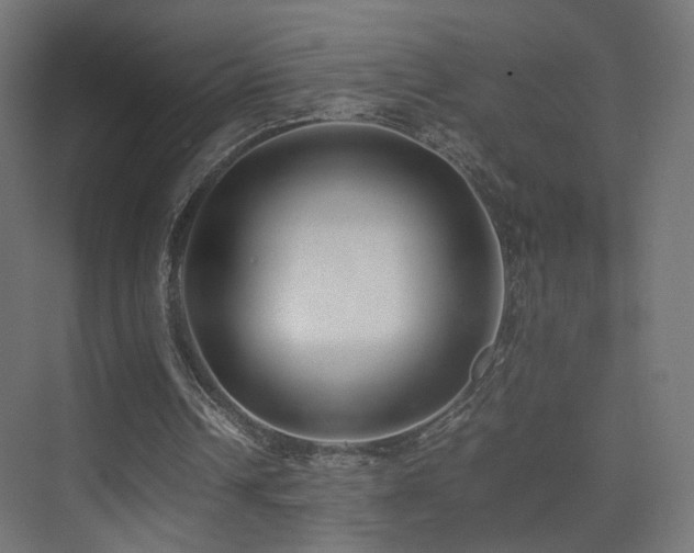 X0000075330242200609081105